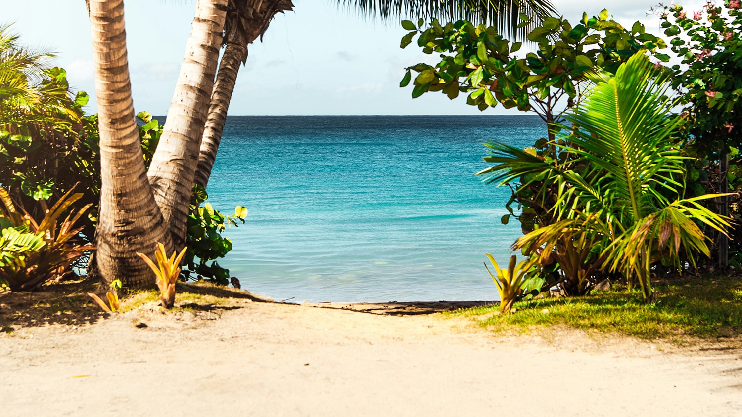 Rincon, Puerto Rico