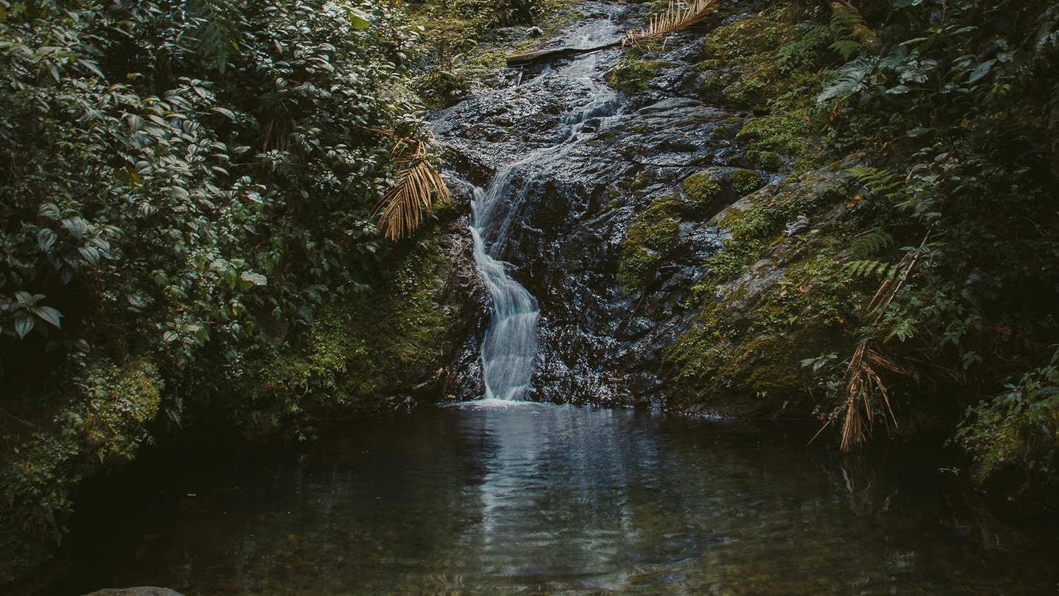 Waterfall, Puerto Rico