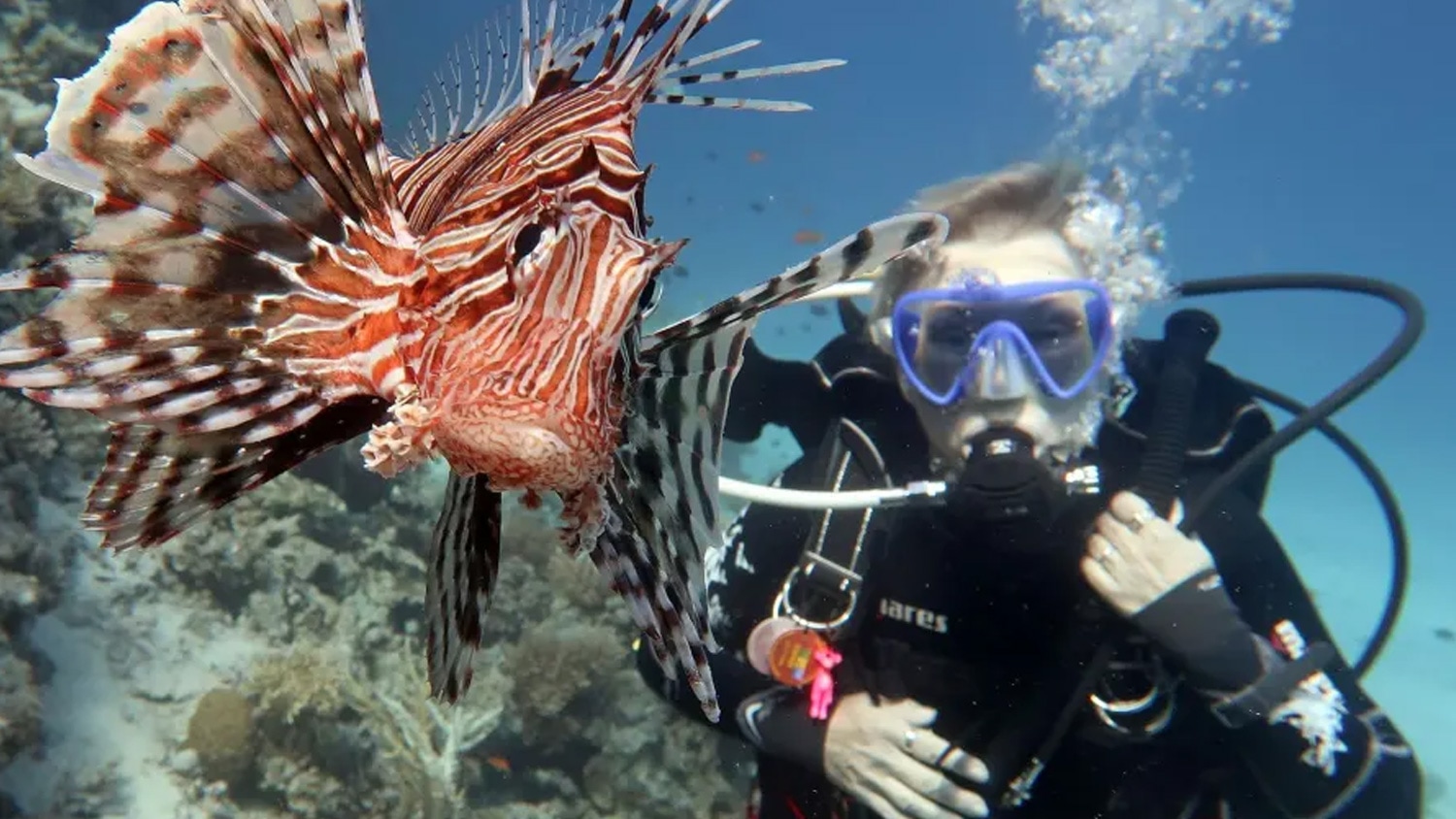 Diving in Tierra Bomba, Colombia
