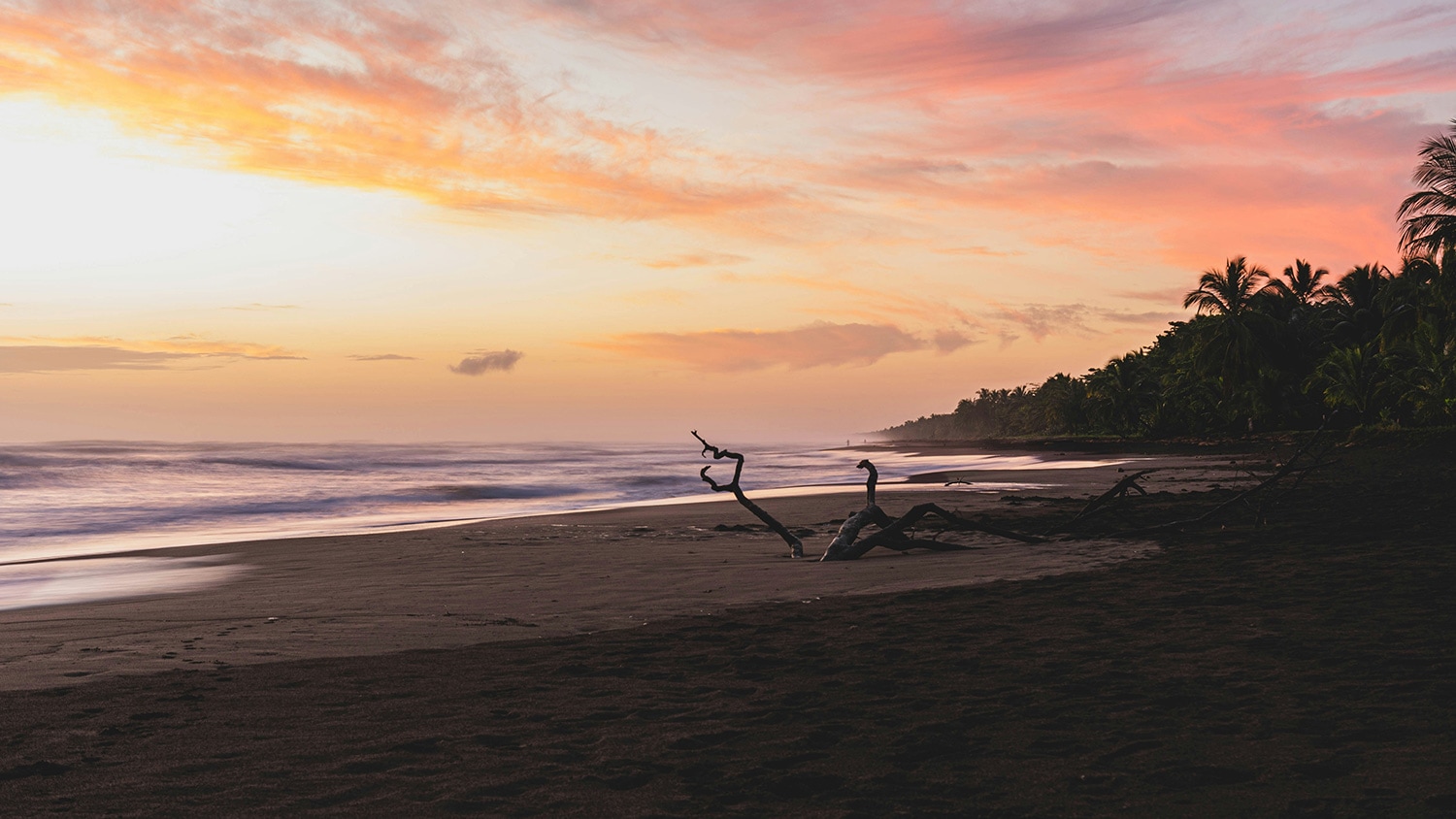 Tortuguero, Limón, Costa Rica