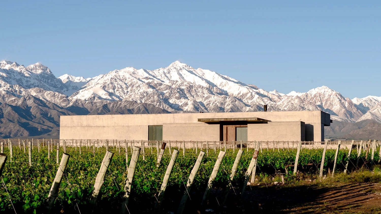 The Vines Resort & Spa, Argentina