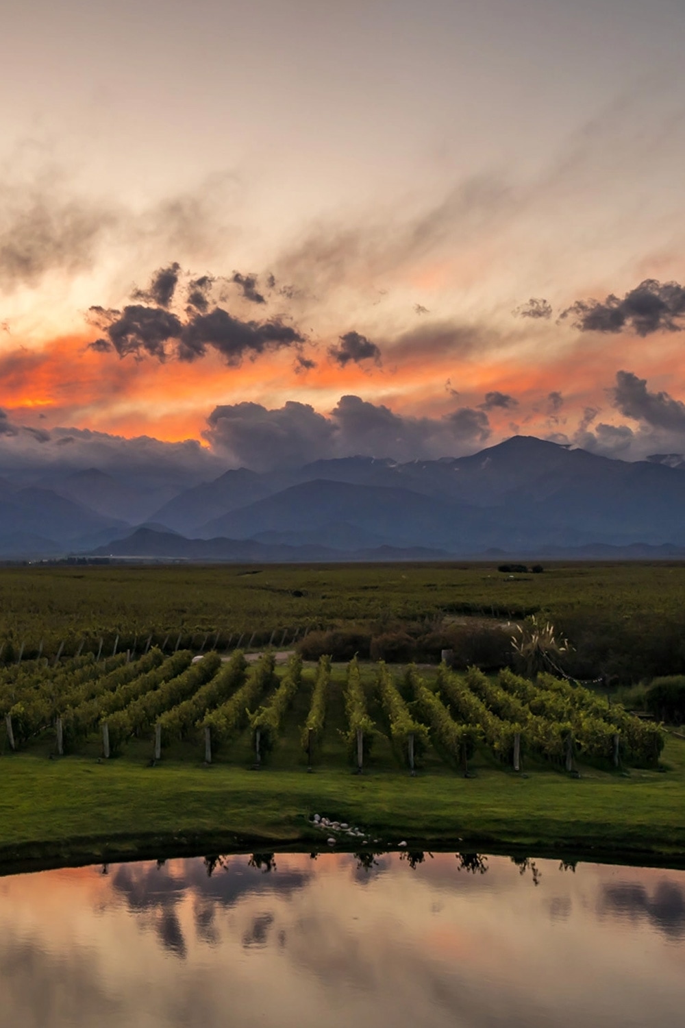 The Vines Resort & Spa, Argentina