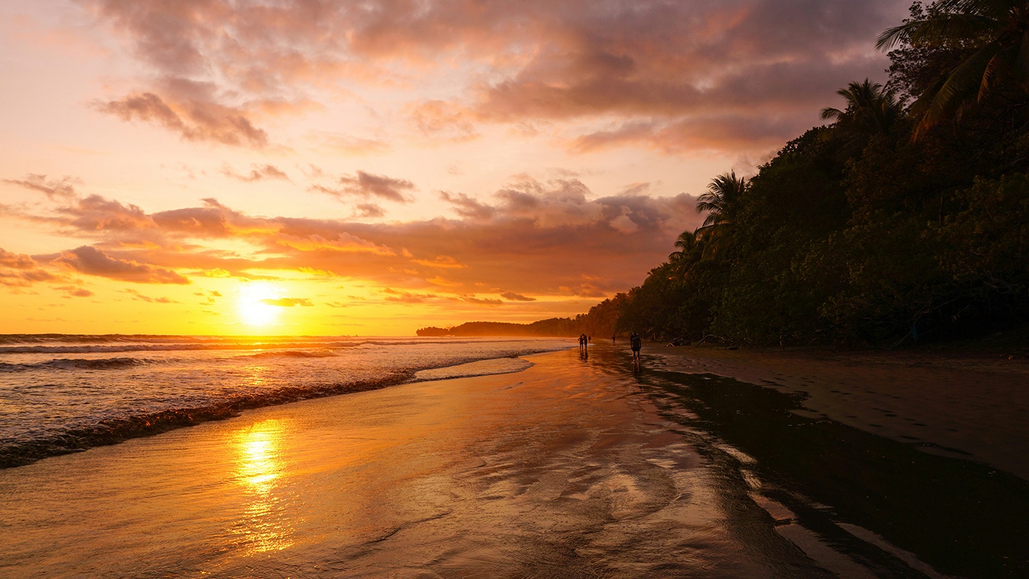 Marino Ballena National Park, Uvita, Costa Rica