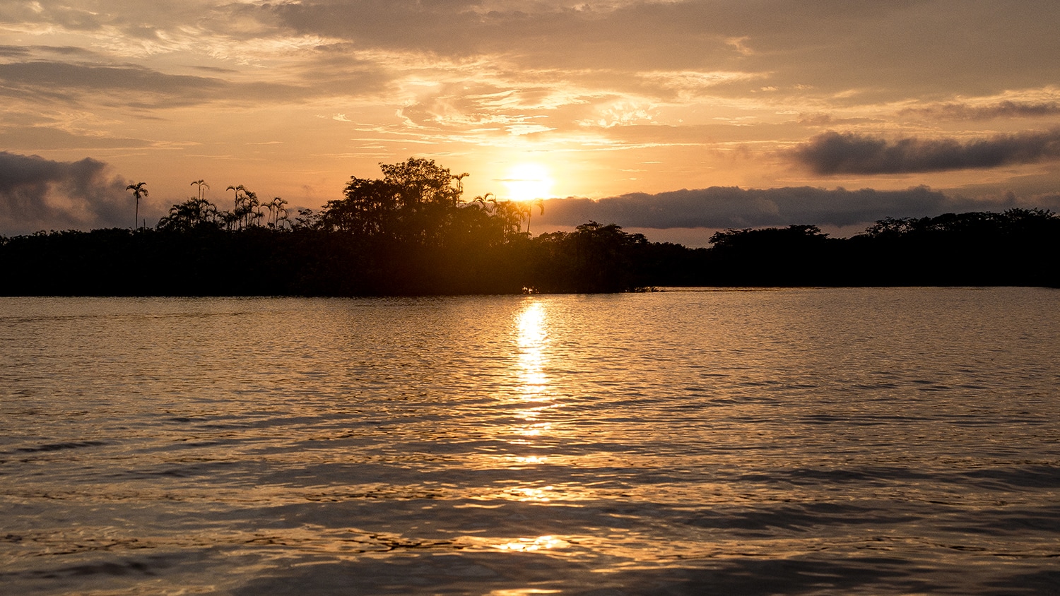 Sunset in Amazon Rainforest, Ecuador