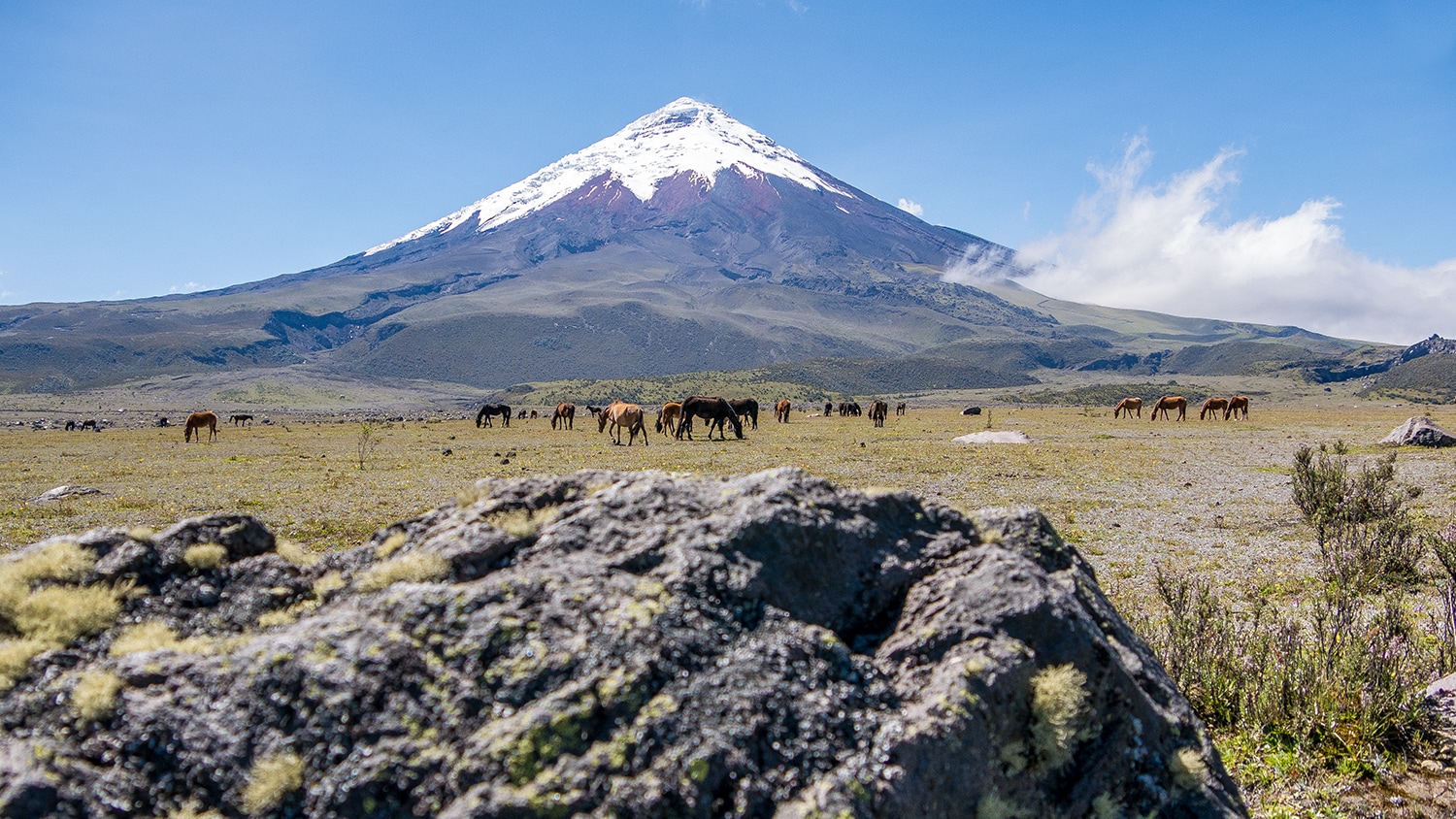 Cotopaxi Volcano, Ecuador
