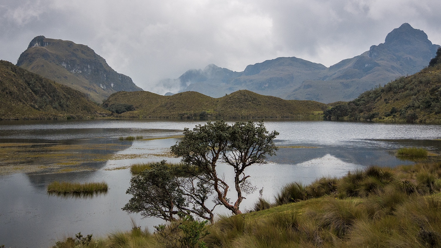 Cajas National Park, Ecuador