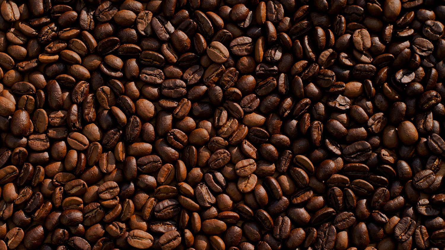 Coffee seeds, Boquete, Panama