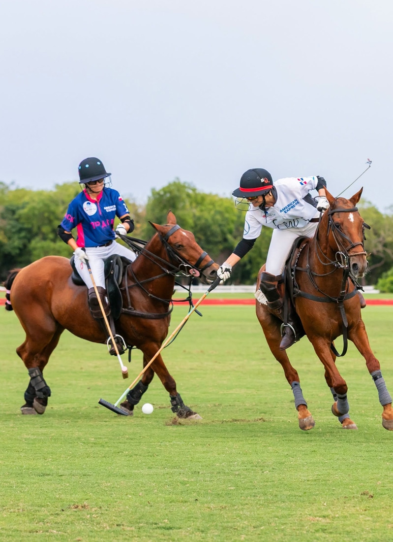 Polo, Casa de Campo Resort & Villas, Dominican Republic