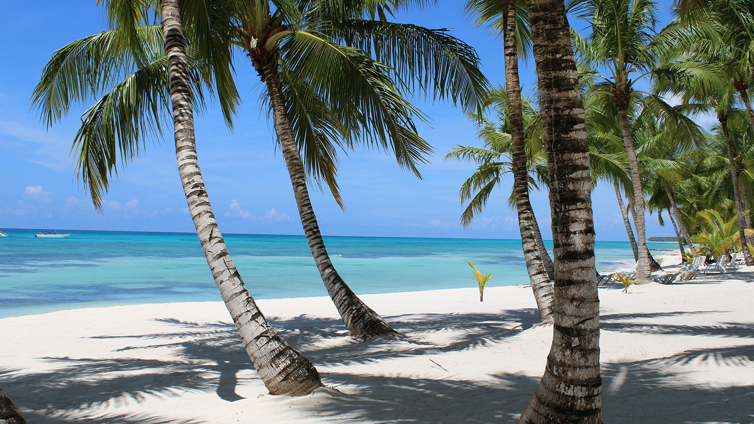 Beach, Punta Cana, Dominican Republic
