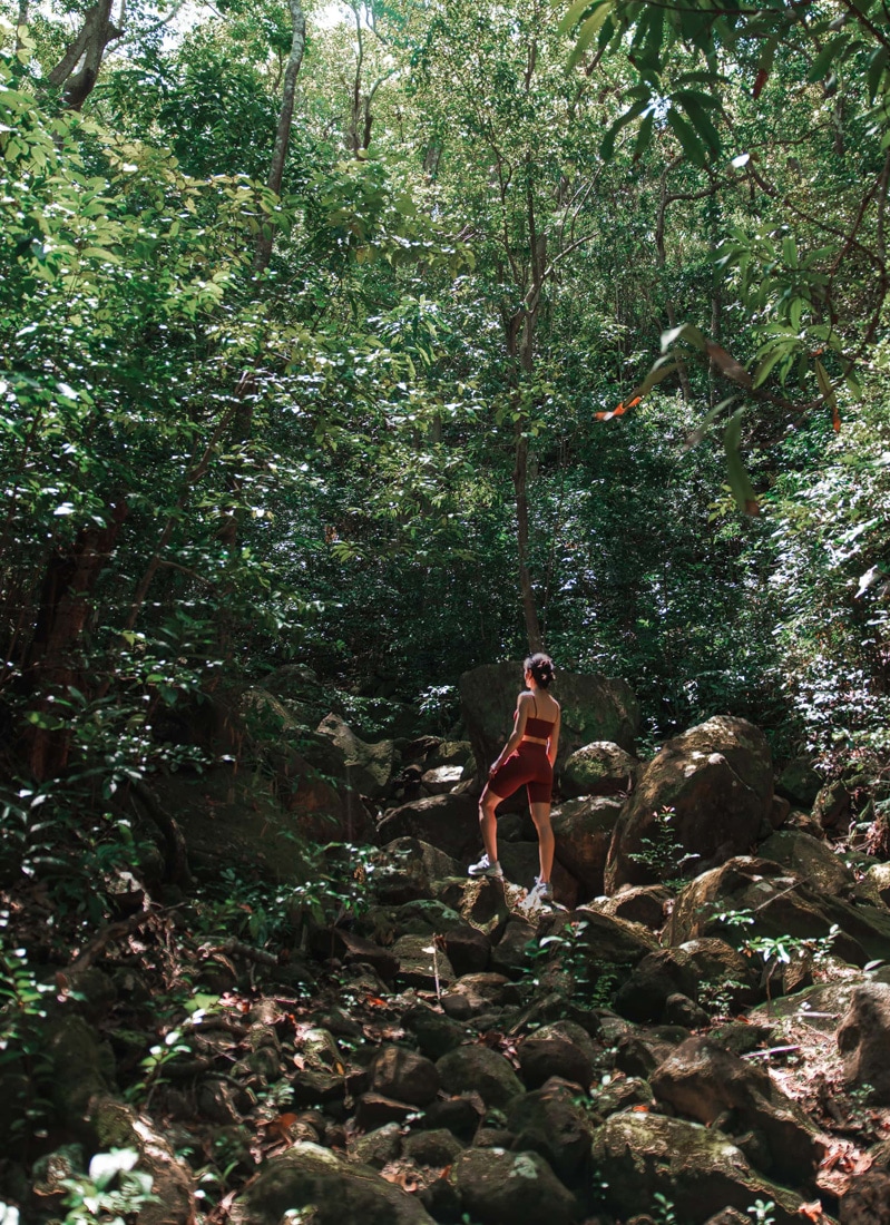Hike in El Yunque, Four Seasons Resort and Residences Puerto Rico