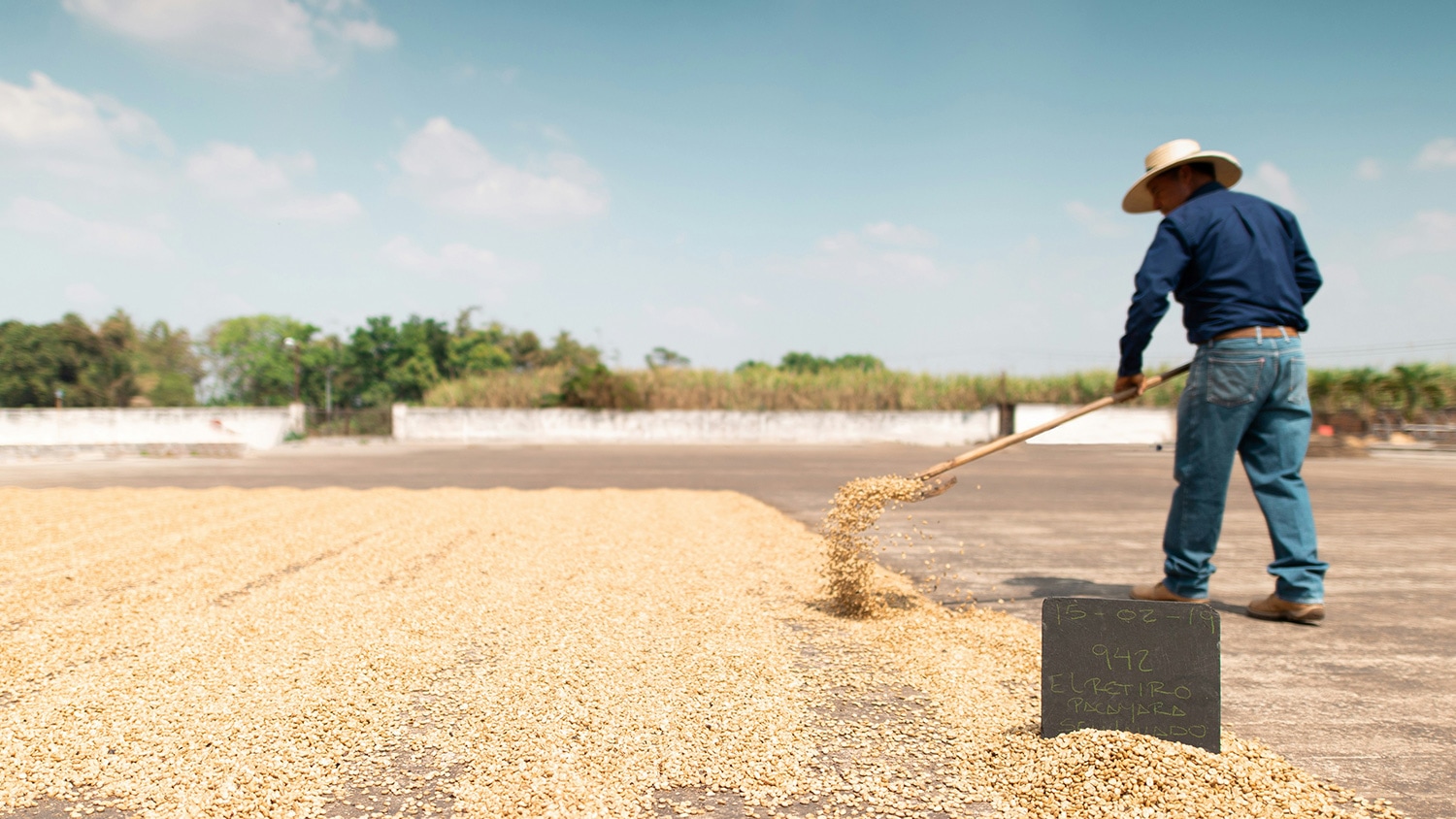 Coffee farm worker, El Salvador
