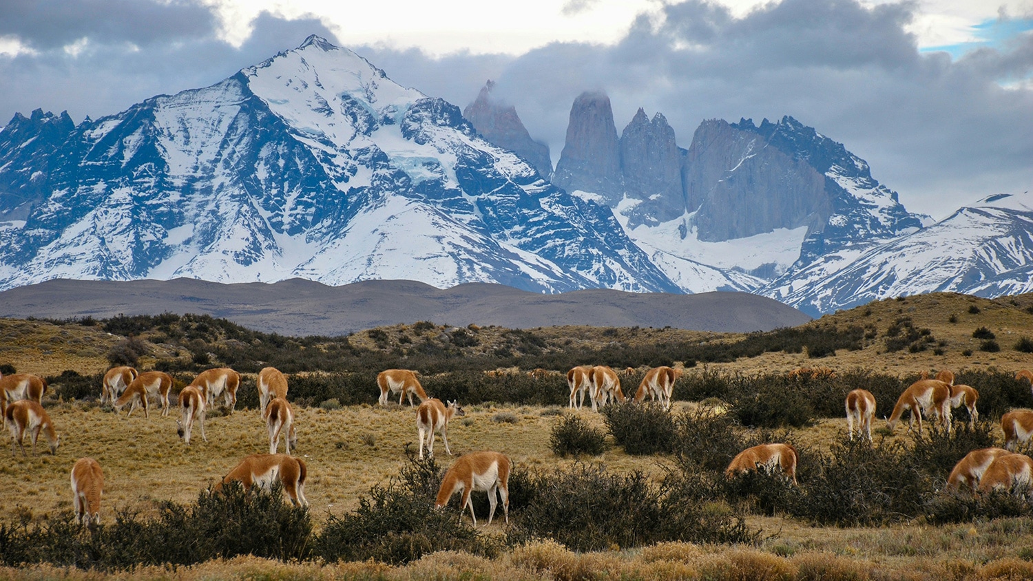 Torres de Paine, Chile