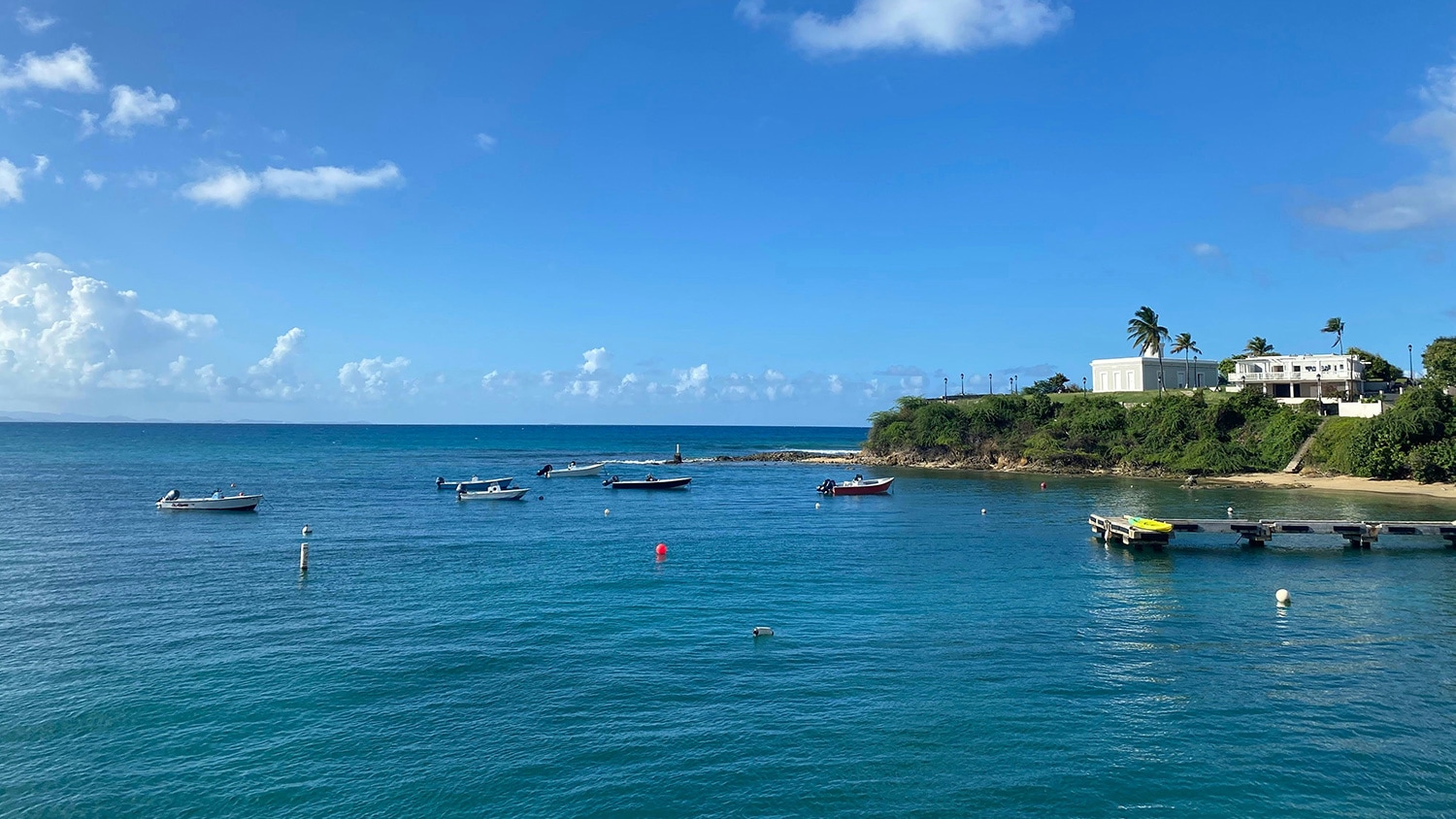 Caribbean coast, Vieques, Puerto Rico